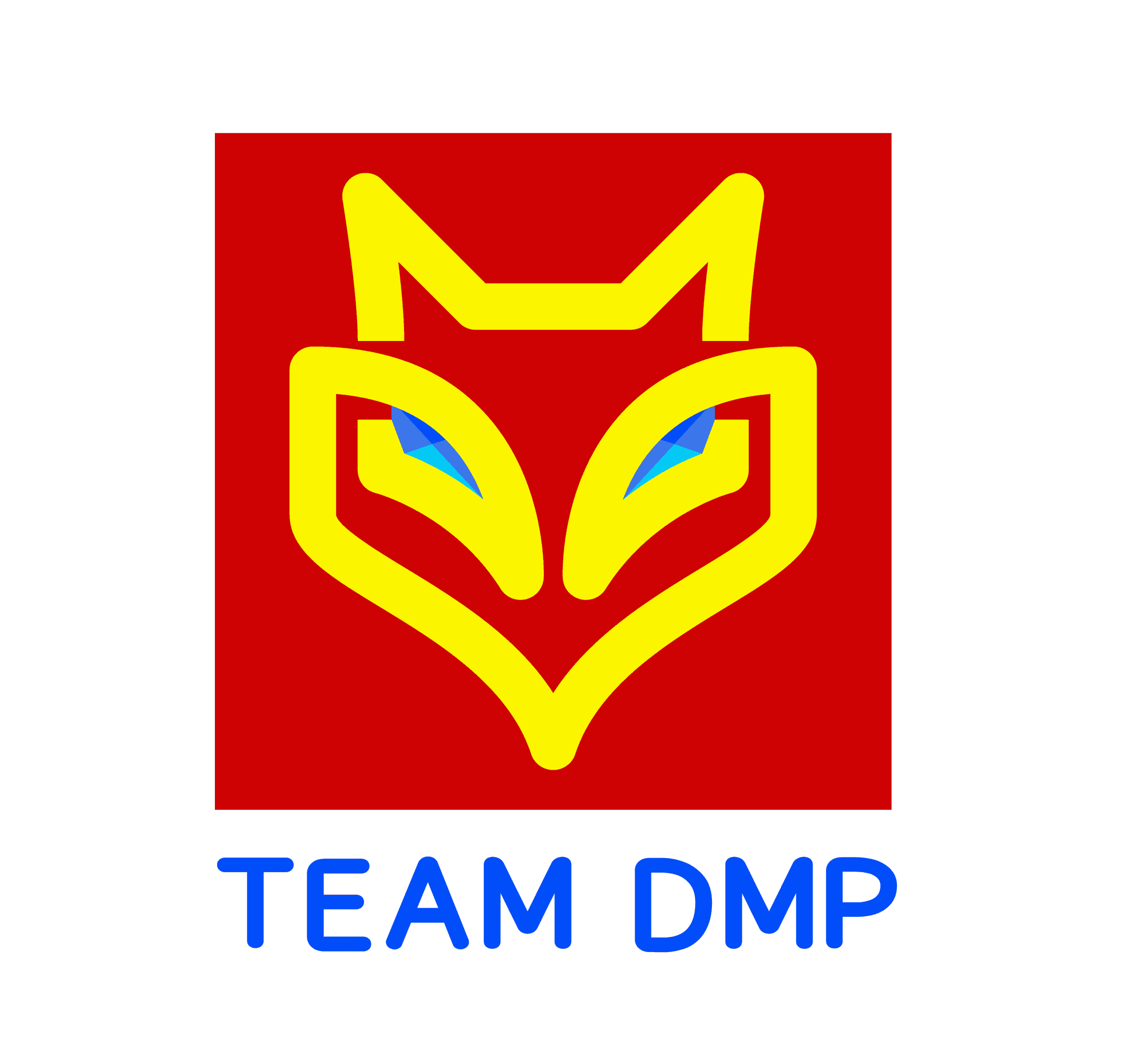 DMP TEAM